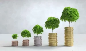 Best large cap stocks to watch in 2025