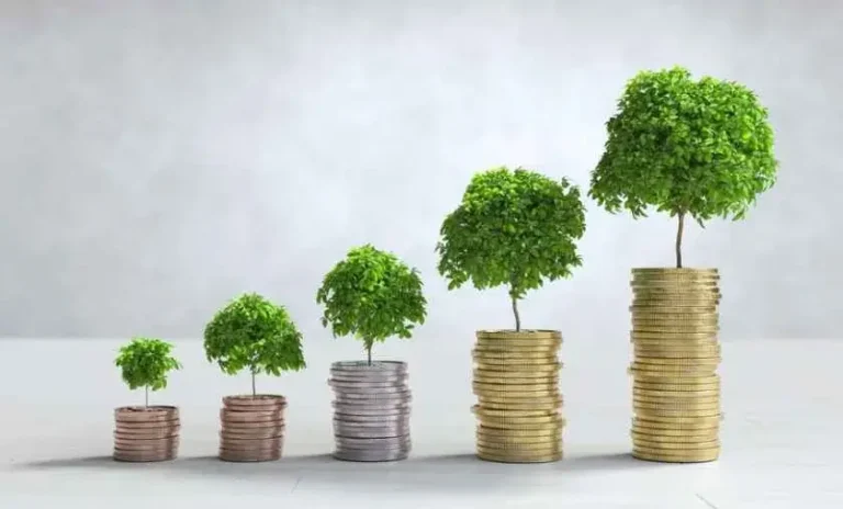Best large cap stocks to watch in 2025